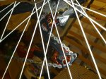 DSC_1130_redimensionar.jpg