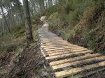 2013-04-06-432.jpg