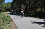 DSC_0275.jpg