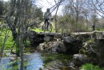 IMG_1564.jpg