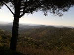 2013-04-06 10.43.14.jpg