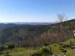2013-04-06 10.44.53.jpg