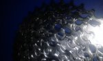 20130104_180305.jpg