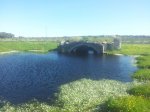 20130406_105544.jpg