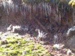 IMG_20130406_115017.jpg