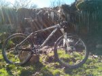 IMG_20130406_115224.jpg