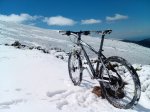 IMG_20130406_133357.jpg