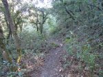 DSC03625.JPG