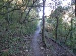 DSC03626.JPG