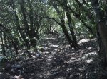 DSC03647.JPG