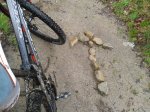 2013-04-07 12.36.29_1024x768.jpg