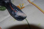 DSC_9242.JPG