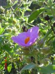 CIMG002_9.JPG
