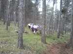 IMG-20130328-WA0042.jpg