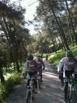 IMG-20130407-WA0102.jpg