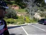 IMG-20130407-WA0130.jpg
