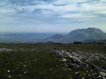 IMG053-1.jpg