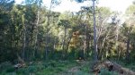 DSCN8817.jpg