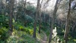 DSCN8826.jpg