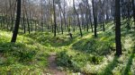 DSCN8848.jpg