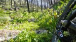 DSCN8851.jpg