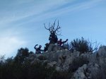 CIMG5271 (Copiar).JPG
