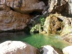 20130407_091009.jpg