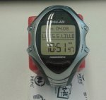 polar2.jpg