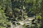 17-Arroyo Ahijadero-Pedro Sanchez.jpg