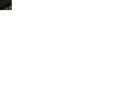 P1020844.gif