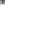 P1020842.gif