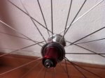 ZIPP 303.JPG