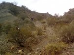 HUERTA Y BICI 161.jpg