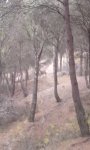 IMG_20130409_104601_588x979.jpg