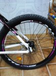 BICI MARINA 4.jpg