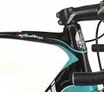 bianchi_infinito_cv_2014_endurance_road_bike_1.jpg