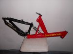 cannondale 01.jpg