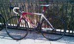 IMAG0269.jpg