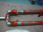 DSC00799.jpg