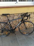 Madone.JPG