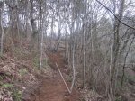 IMG_0129.JPG