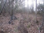 IMG_0130.JPG
