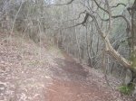 IMG_0135.JPG