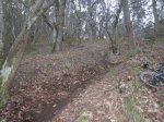 IMG_0137.JPG