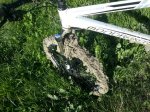 IMG-20130412-WA0003.jpg