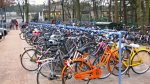 bici.jpg