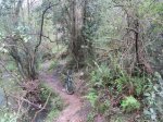 IMG_0165.JPG