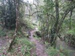 IMG_0166.JPG