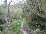IMG_0167.JPG