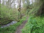 IMG_0170.JPG